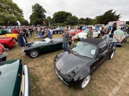 Show cars